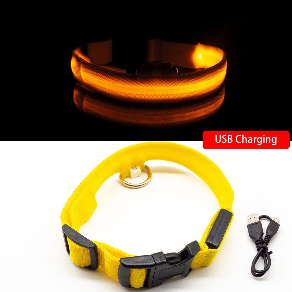 LED "Anti-Lost GLOW" Dog Collar For Dogs and Puppies + USB Charging - Yellow