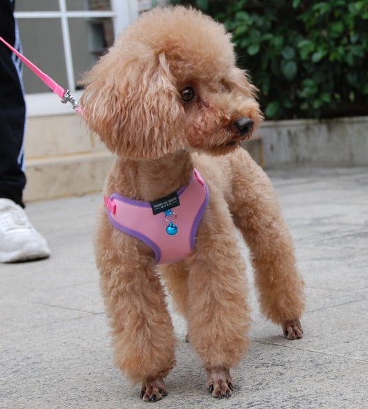 Colourful, Adjustable Harness with Lead and Bell attached - for Small to Medium-sized Dogs/Cats/Pets - Leather Look/4 Sizes/7 Colours