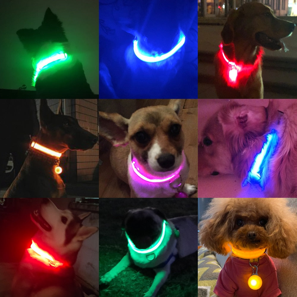 LED "Anti-Lost GLOW" Dog Collar For Dogs and Puppies + USB Charging/Battery Replacement (2) - Examples