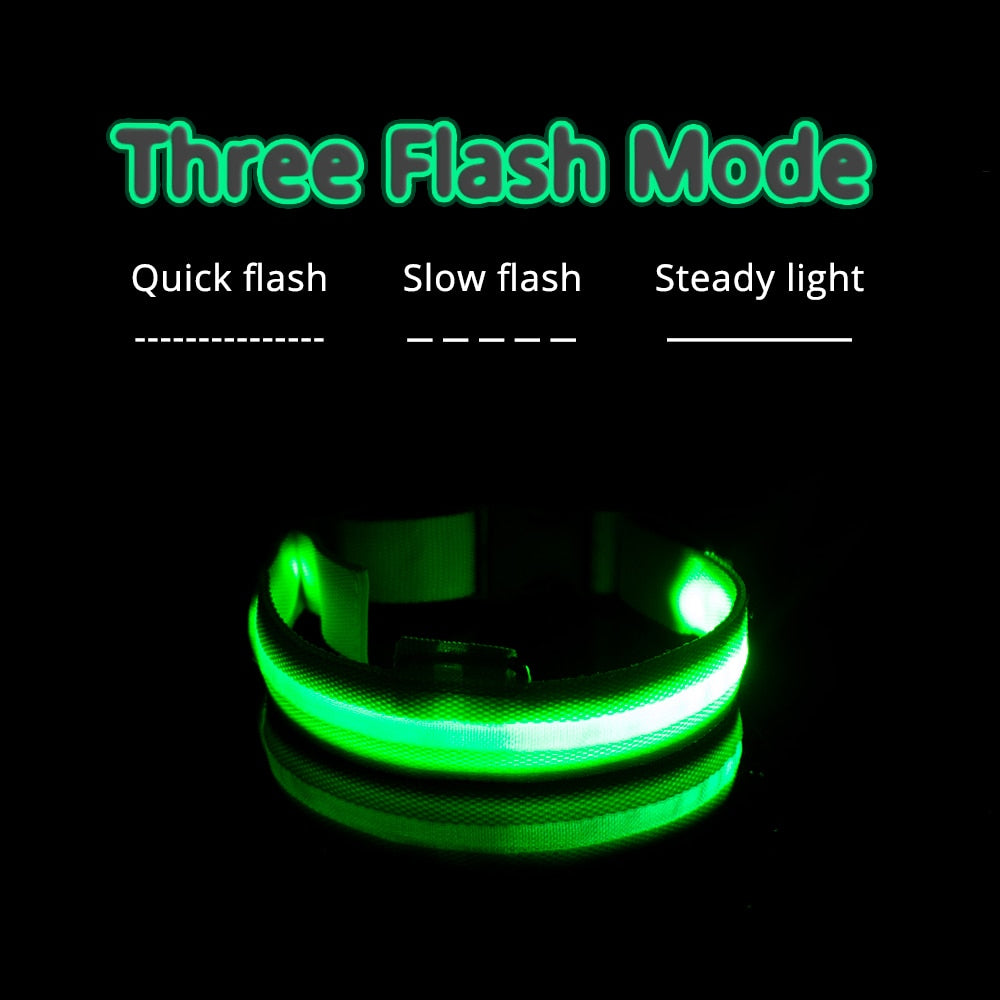 LED "Anti-Lost GLOW" Dog Collar For Dogs and Puppies + USB Charging/Battery Replacement (2) - 3 Flash Mode