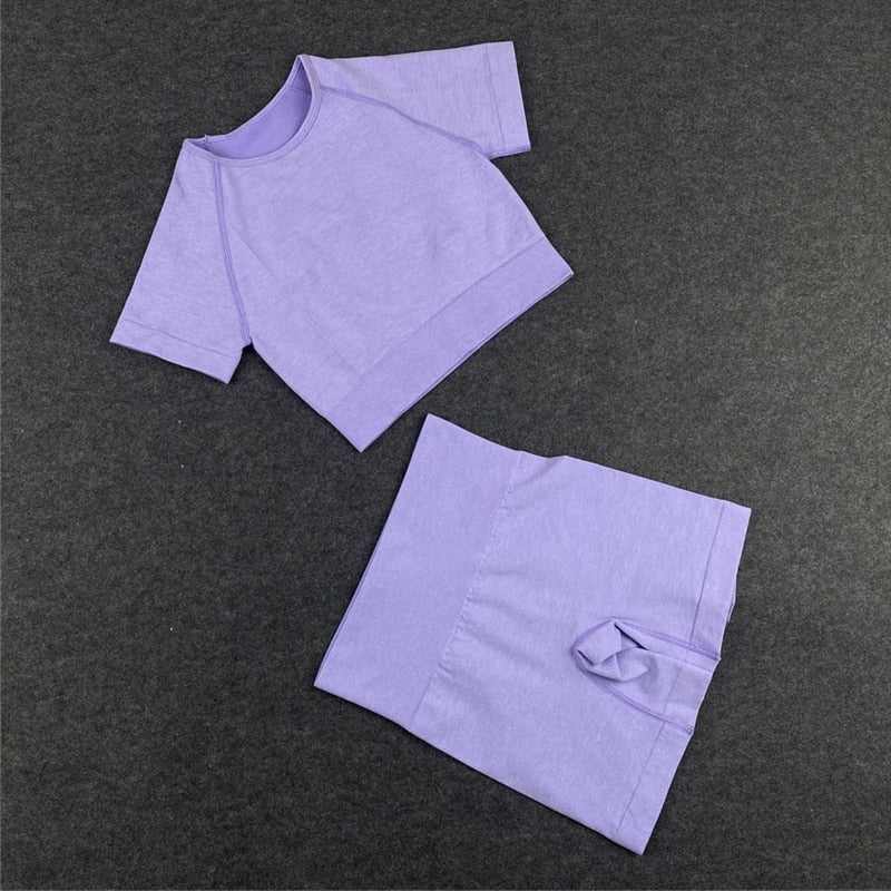 Seamless Yoga Sets - Workout/Sport Pants, Bra, Gym Shorts, Crop Tops, High-Waist Leggings - Various Sports Sets/Black/Pink/Purple