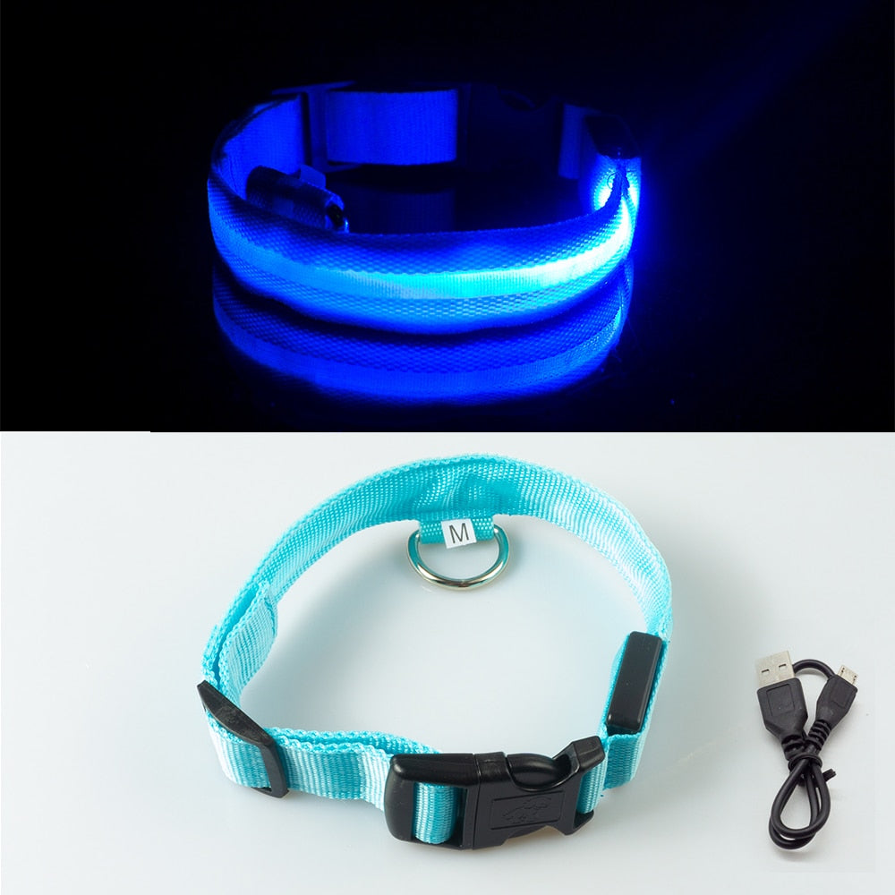 LED "Anti-Lost GLOW" Dog Collar For Dogs and Puppies + USB Charging/Battery Replacement (2) - Blue