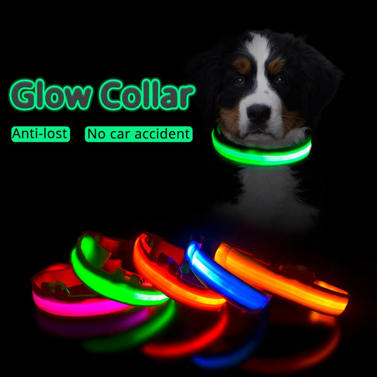 LED "Anti-Lost GLOW" Dog Collar For Dogs and Puppies + USB Charging/Battery Replacement (2)