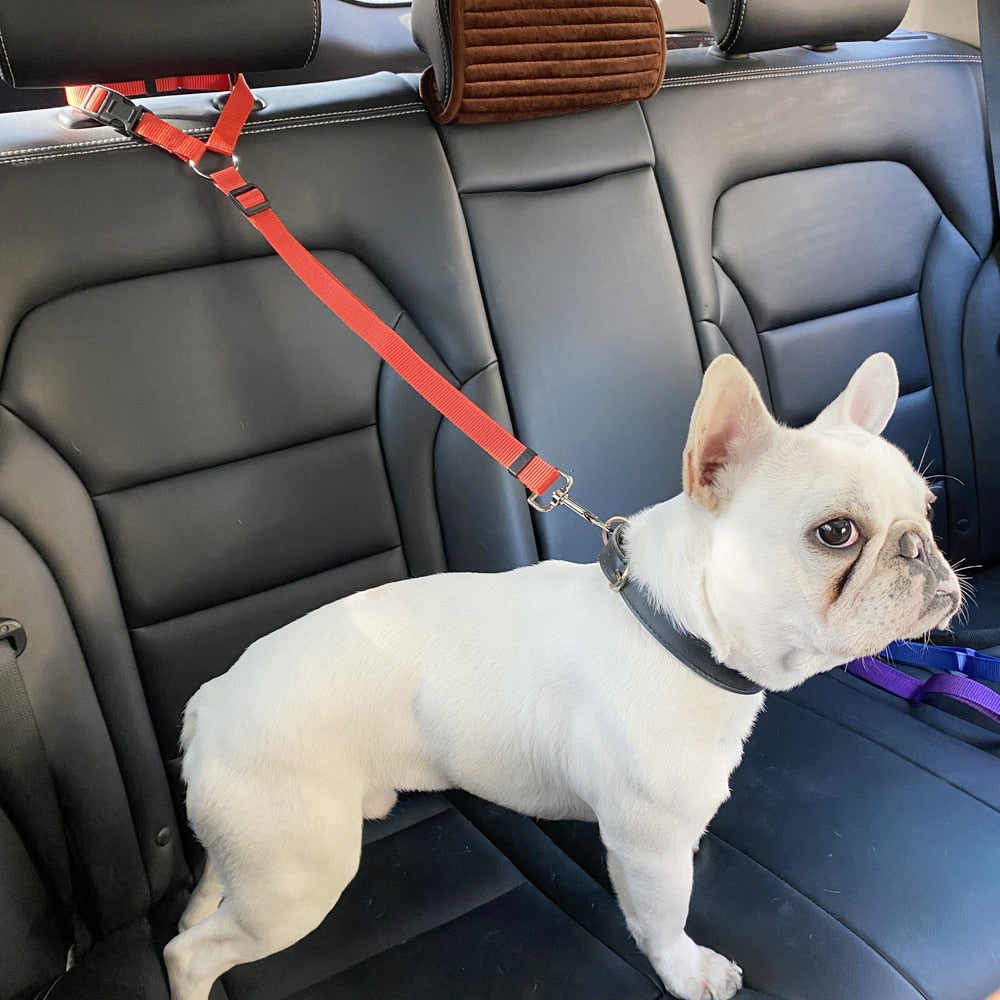 Pet Products Universal Practical Cat Dog Safety Adjustable Car Seat Belt Harness Leash Puppy Seat-belt Travel Clip Strap Leads - Vlad's Bike Bits