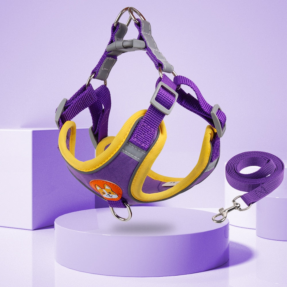 Dog Harness + Leash Set - Reflective/Adjustable Outdoors Harness for Small/Medium Dog - 4 Sizes/Purple