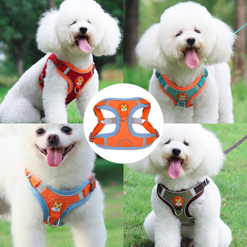 Dog Harness + Leash Set - Reflective/Adjustable Outdoors Harness for Small/Medium Dog - 4 Sizes/6 Colours