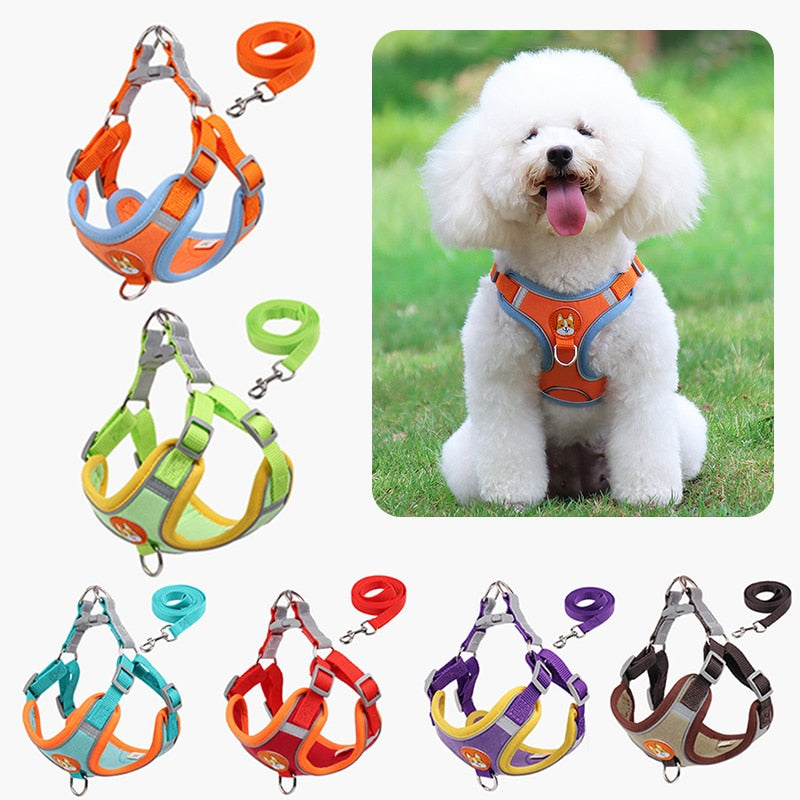 Dog Harness + Leash Set - Reflective/Adjustable Outdoors Harness for Small/Medium Dog - 4 Sizes/6 Colours